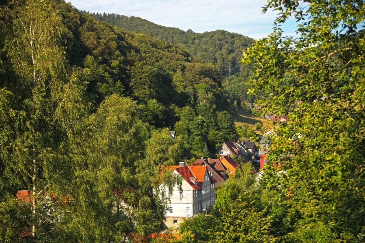 Fewo-Lerbachtal Osterode am Harz Ngoại thất bức ảnh
