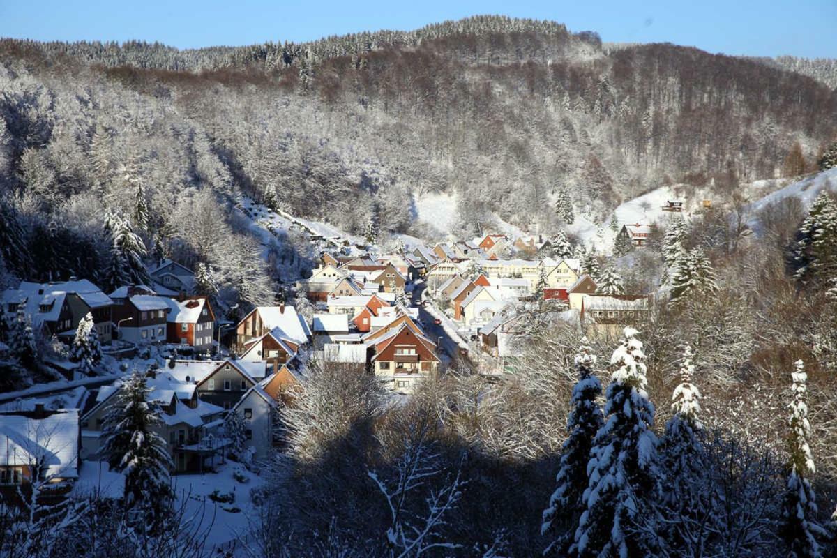 Fewo-Lerbachtal Osterode am Harz Ngoại thất bức ảnh