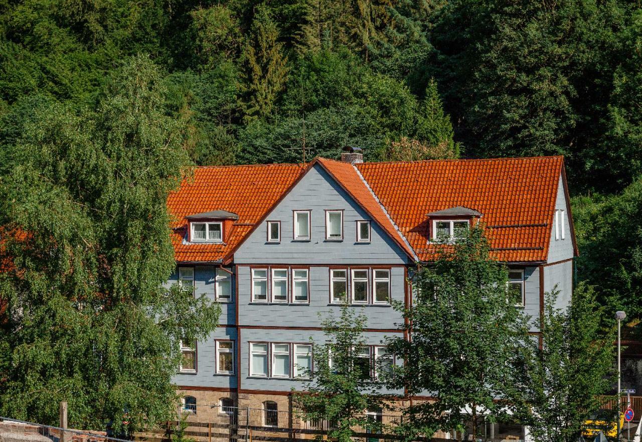 Fewo-Lerbachtal Osterode am Harz Ngoại thất bức ảnh