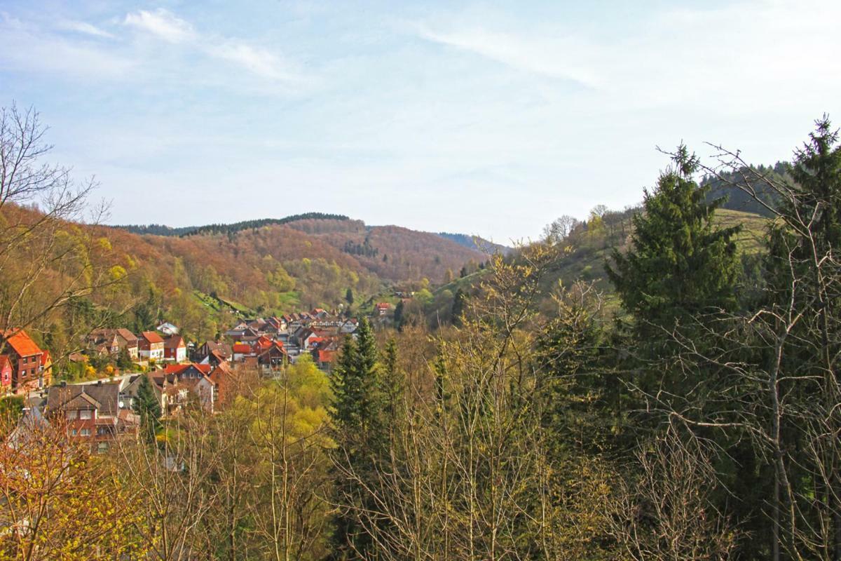 Fewo-Lerbachtal Osterode am Harz Ngoại thất bức ảnh