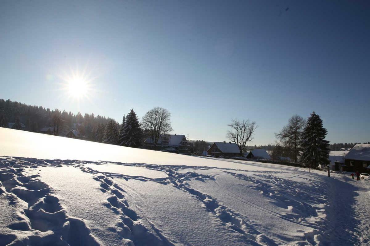Fewo-Lerbachtal Osterode am Harz Ngoại thất bức ảnh